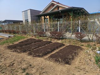 신득경님의 자유주제 · 자유게시판 작성글 사진