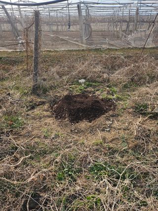 신득경님의 자유주제 · 자유게시판 작성글 사진