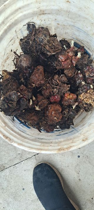 장준재님의 자유주제 · 자유게시판 작성글 사진