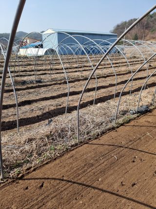 조경준님의 자유주제 · 자유게시판 작성글 사진