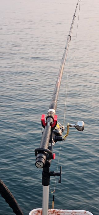 구춘봉님의 자유주제 · 자유게시판 작성글 사진