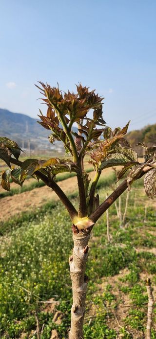 임원식님의 자유주제 · 자유게시판 작성글 사진