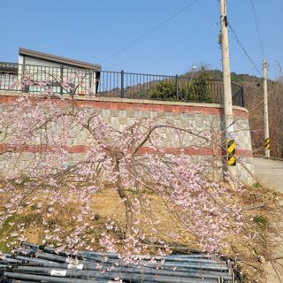 이창화님의 자유주제 · 자유게시판 작성글 사진