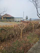 팜모닝 자유주제·자유게시판 게시글 이미지