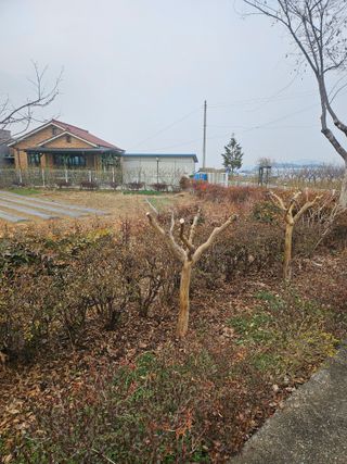 신득경님의 자유주제 · 자유게시판 작성글 사진