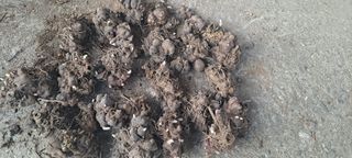 장준재님의 자유주제 · 자유게시판 작성글 사진