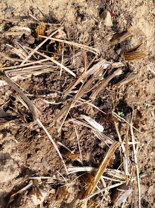 이박농장님의 자유주제 · 자유게시판 작성글 사진