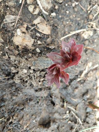 이박농장님의 자유주제 · 자유게시판 작성글 사진