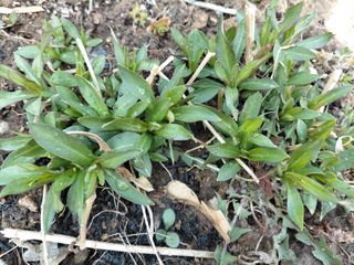 이박농장님의 자유주제 · 자유게시판 작성글 사진