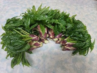 임원식님의 자유주제 · 자유게시판 작성글 사진