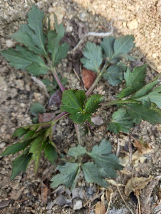 knlee님의 자유주제 · 자유게시판 작성글 사진