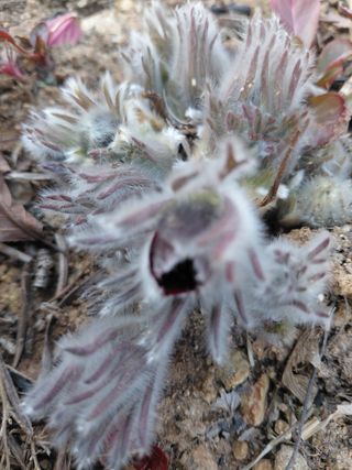 이박농장님의 자유주제 · 자유게시판 작성글 사진