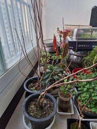 김 농부님의 자유주제 · 자유게시판 작성글 사진