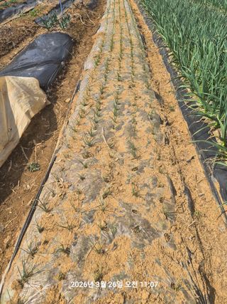 정택님의 자유주제 · 자유게시판 작성글 사진