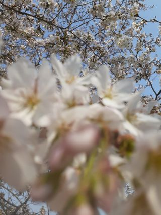 주흘산인님의 자유주제 · 자유게시판 작성글 사진