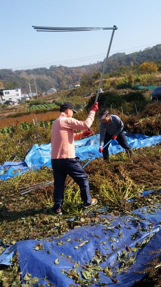 권오진트로트님의 자유주제 · 자유게시판 작성글 사진