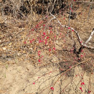 이창화님의 자유주제 · 자유게시판 작성글 사진