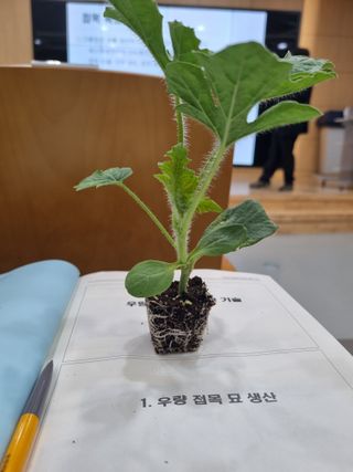 논산푸른팜님의 자유주제 · 자유게시판 작성글 사진