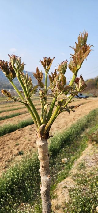 임원식님의 자유주제 · 자유게시판 작성글 사진