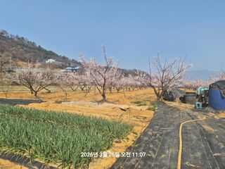 정택님의 자유주제 · 자유게시판 작성글 사진