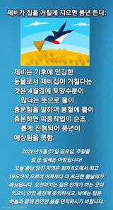 팜모닝 자유주제·자유게시판 게시글 이미지
