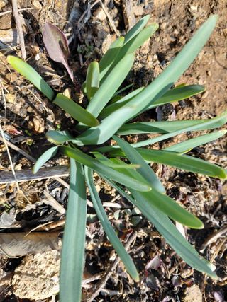 이박농장님의 자유주제 · 자유게시판 작성글 사진