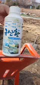 팜모닝 자유주제·자유게시판 게시글 이미지