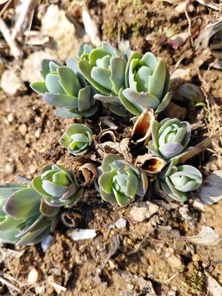 이박농장님의 자유주제 · 자유게시판 작성글 사진