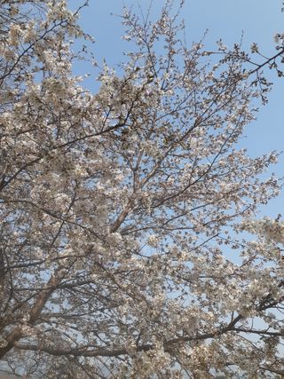 주흘산인님의 자유주제 · 자유게시판 작성글 사진