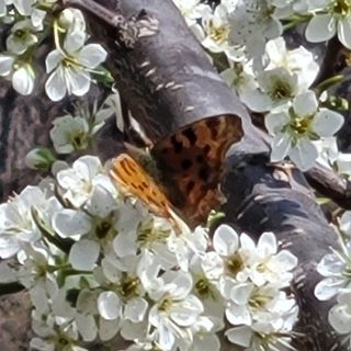 이창화님의 자유주제 · 자유게시판 작성글 사진