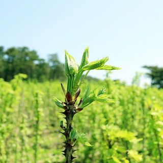 임원식님의 자유주제 · 자유게시판 작성글 사진