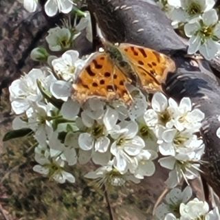 이창화님의 자유주제 · 자유게시판 작성글 사진