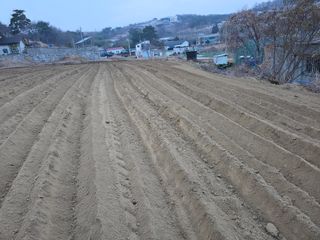 김석기님의 자유주제 · 자유게시판 작성글 사진