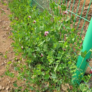 이창화님의 자유주제 · 자유게시판 작성글 사진