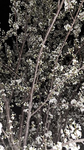 주윤발이님의 자유주제 · 자유게시판 작성글 사진