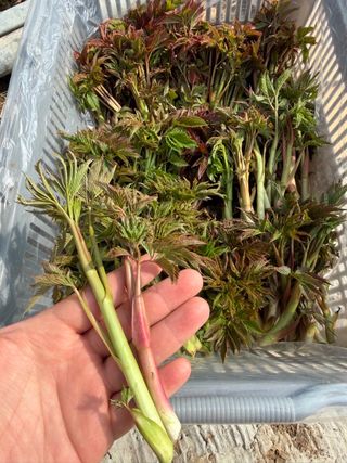 차민주님의 자유주제 · 자유게시판 작성글 사진