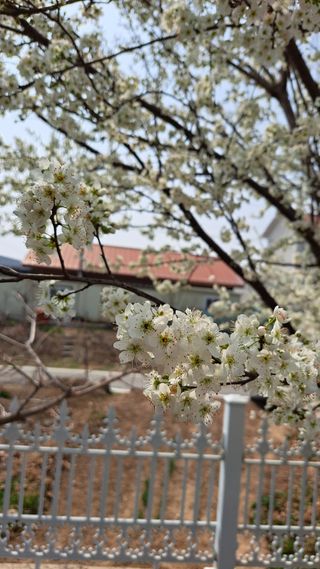 주윤발이님의 자유주제 · 자유게시판 작성글 사진