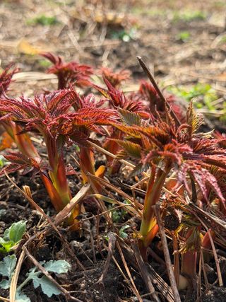 차민주님의 자유주제 · 자유게시판 작성글 사진