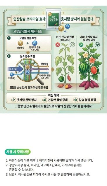 산들마켓,씨앗마켓님의 장터 판매 상품 [명품 인산칼슘 1kg 고함량 수용성 칼슘비료 엽면시비용] 첨부 사진