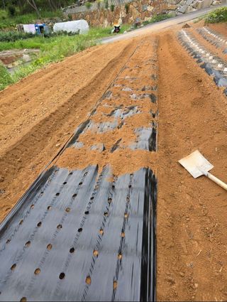 김석기님의 자유주제 · 자유게시판 작성글 사진