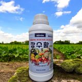 팜모닝 자유주제·자유게시판 게시글 이미지