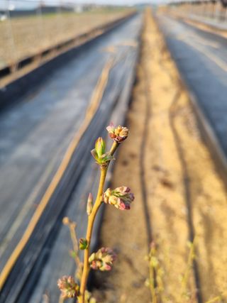 김동만님의 자유주제 · 자유게시판 작성글 사진