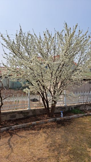 주윤발이님의 자유주제 · 자유게시판 작성글 사진