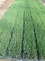 팜모닝 자유주제·자유게시판 게시글 이미지