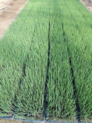 좋은인연원님의 자유주제 · 자유게시판 작성글 사진