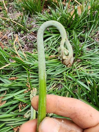 제주부자팜님의 자유주제 · 자유게시판 작성글 사진