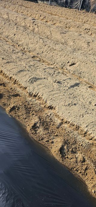 뿌리묘목농원님의 자유주제 · 자유게시판 작성글 사진