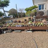 팜모닝 자유주제·자유게시판 게시글 이미지