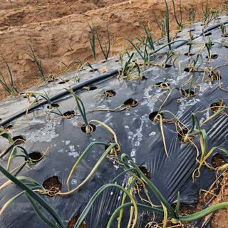 조순범님의 자유주제 · 자유게시판 작성글 사진