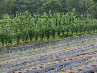 장&강 힐링하우스님의 자유주제 · 자유게시판 작성글 사진